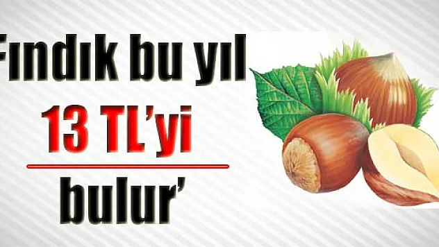 'Fındık bu yıl 13 TL'yi bulur'