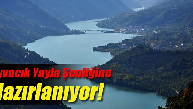 Ayvacık Ardıç Köyünde Yayla Şenlikleri Düzenlenecek