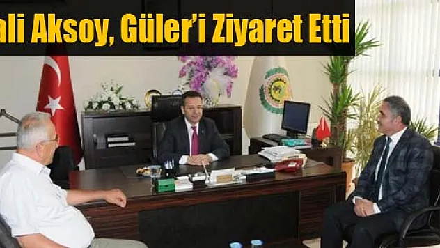 Vali Aksoy, Güler'i Ziyaret Etti