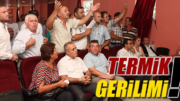 Terme'de Santral Gerginliği