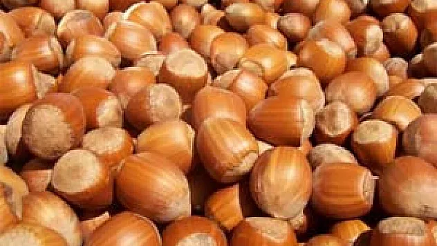 Sadece Üreticiyi Değil, Dünya Devlerini de Vurdu