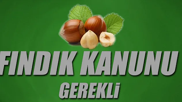 Başkan Murzioğlu'na Fındık Kanunu Raporu