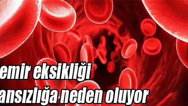 Demir eksikliği kansızlığa neden oluyor