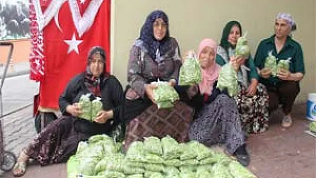 BAMYA SATARAK, OKUL MASRAFINI KARŞILIYORLAR