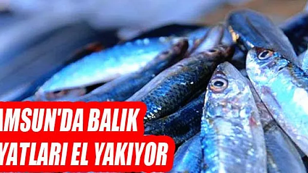 SAMSUN'DA BALIK FİYATLARI EL YAKIYOR