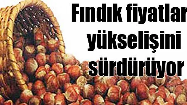 Fındık fiyatları yükselişini sürdürüyor