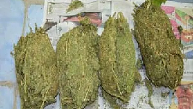 SAMSUN'DA UYUŞTURUCU OPERASYONU