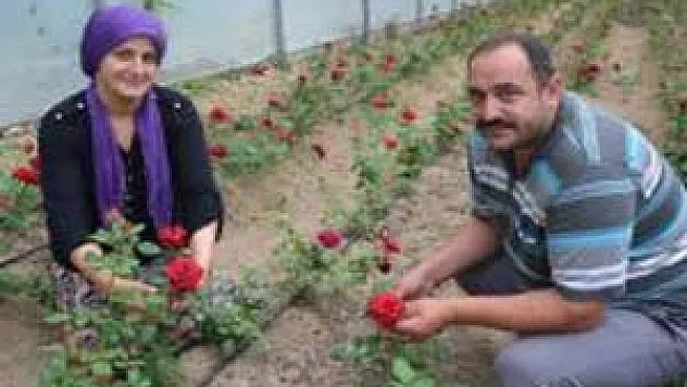 Fındığı Söküp Kesme Çiçekçiliğe Başladı