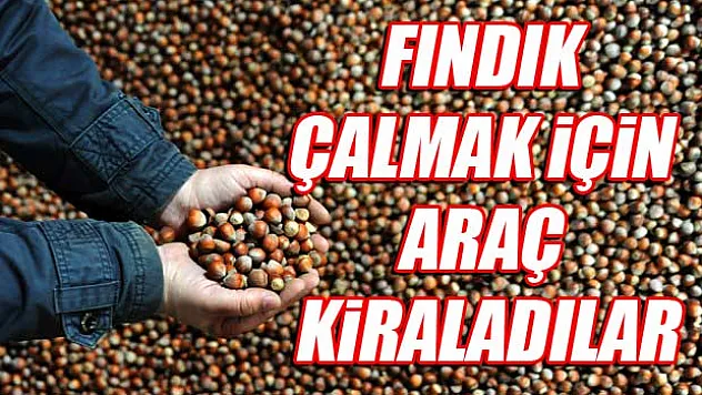 Polis fındık farelerini yakaladı