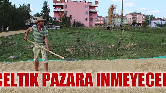 ÇELTİK PAZARA İNMEYECEK
