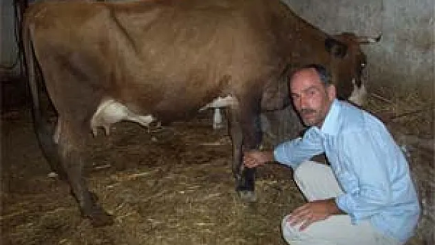 'Sığır Çiçeği', İlçeyi Karantinaya Aldırdı