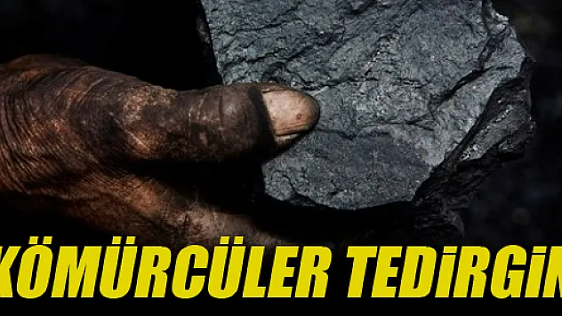 Doğalgaz kömürcüleri tedirgin ediyor