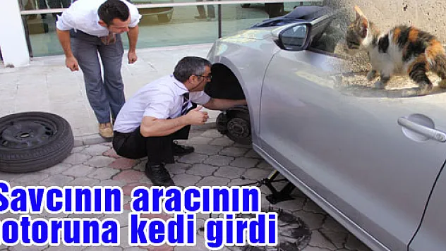 SAVCININ ARACININ MOTORUNA GİREN YAVRU KEDİ ŞOFÖRLERE ZOR ANLAR YAŞATTI