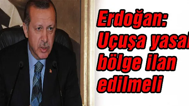 Erdoğan: Uçuşa yasak bölge ilan edilmeli