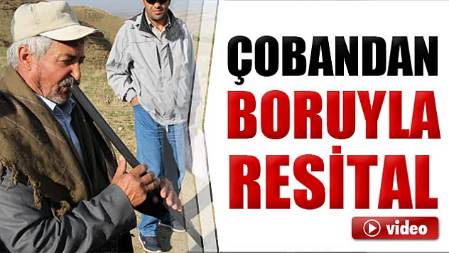 Kavalsız çoban 5 yıldır boru üflüyor