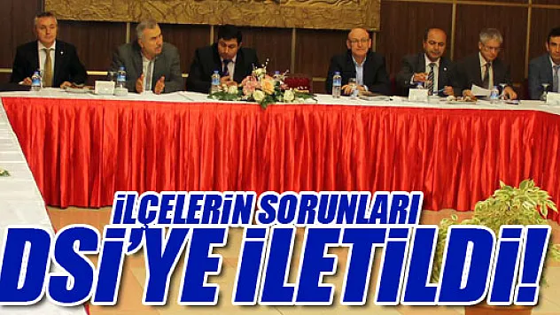 İlçelerin sorunları DSİ'ye iletildi