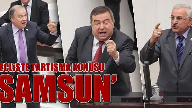MECLİSTE KONU: 'SAMSUN'