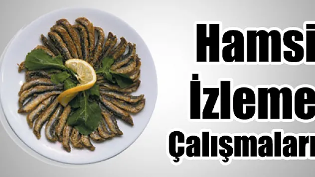 HAMSİ İZLEME ÇALIŞMALARI