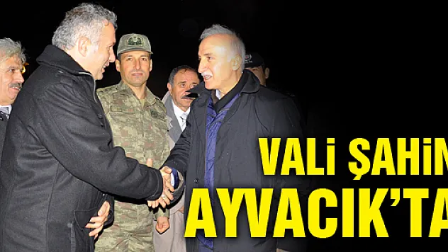 Vali Şahin ve Başkan Yılmaz Ayvacık'ta