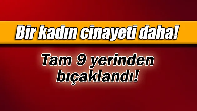 Tartıştığı eşini 9 yerinden bıçaklayıp öldürdü