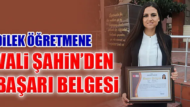 Dilek Öğretmene Vali Şahin'den tebrik