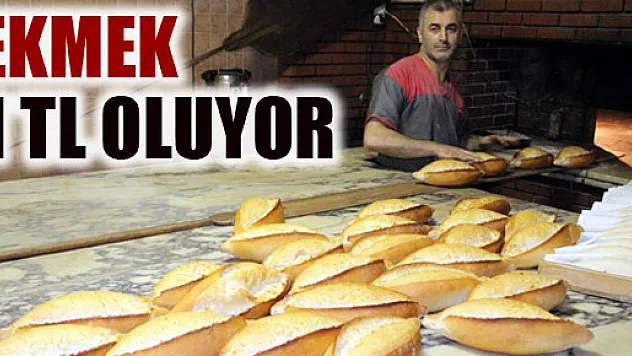 2015'DE EKMEK 1 LİRA