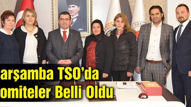 Çarşamba TSO'da komiteler belli oldu