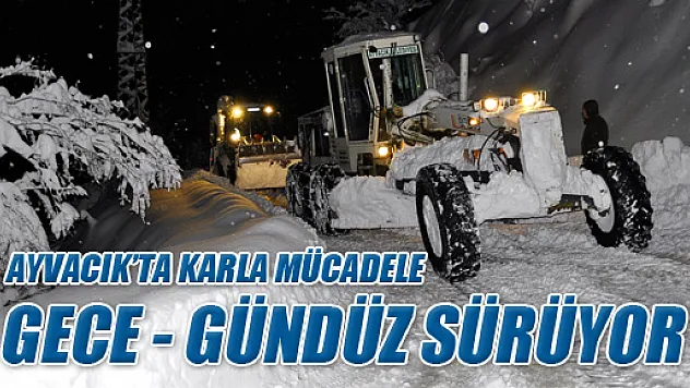 AYVACIK'TA KARLA MÜCADELE