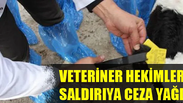 Veteriner Hekimlere Saldırıya Ceza Yağdı