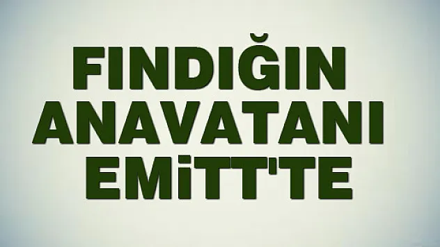 FINDIĞIN ANAVATANI EMİTT'TE