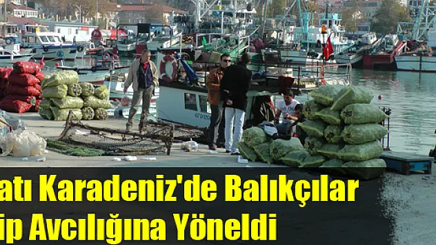 Batı Karadeniz'de Balıkçılar Dip Avcılığına Yöneldi