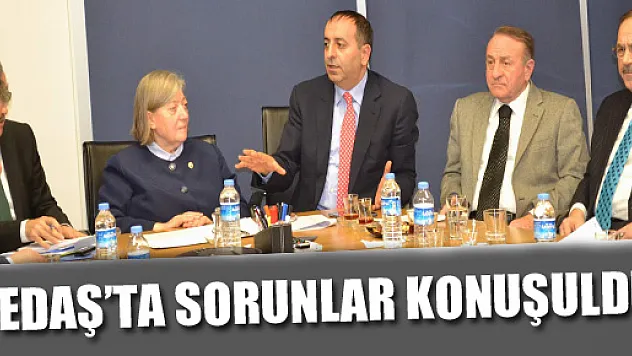 YEDAŞ'ta sorunlar konuşuldu