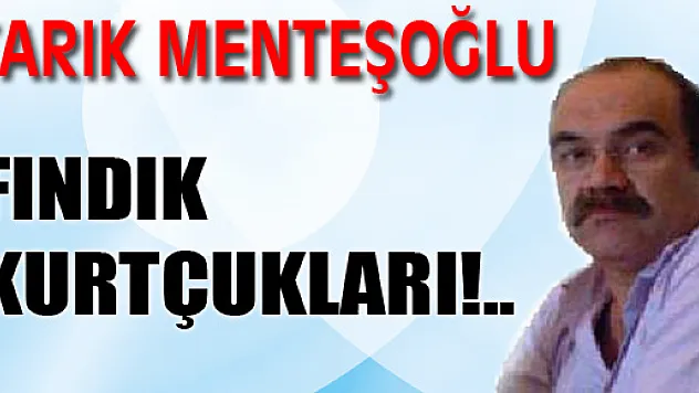 Fındık Kurtçukları!..