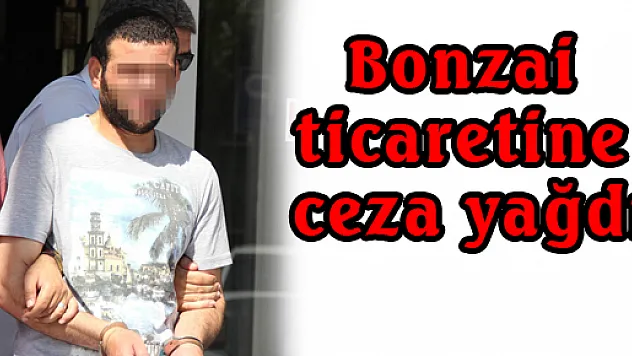 BONZAİ TİCARETİNE CEZA YAĞDI