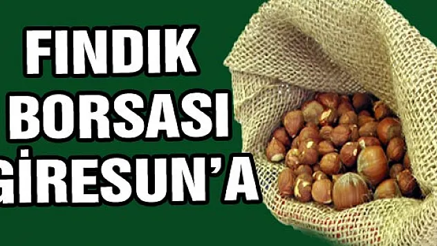 FINDIK BORSASI GİRESUN'A 