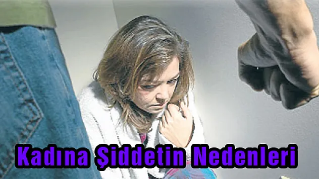 Kadına Şiddetin Nedenleri