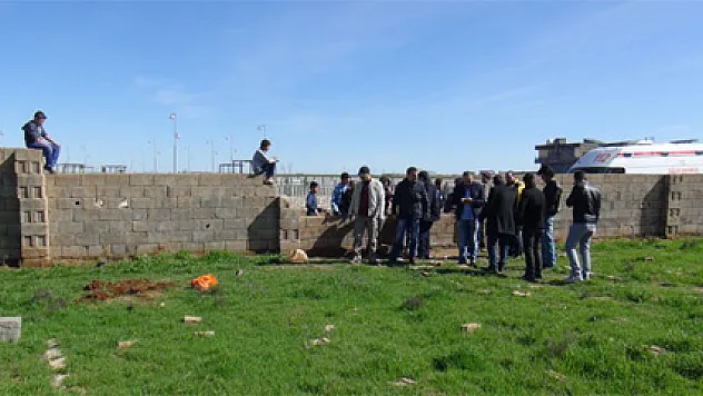 Kızıltepe'de 2-3 aylık iki cenin bulundu