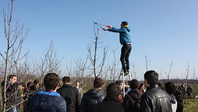 Öğrencilere Budama Terbiye Dersi