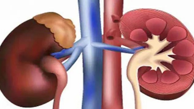 60 bin kişi nakil bekliyor