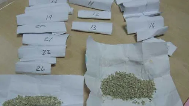 26 Paket Bonzai'ye gözaltı!