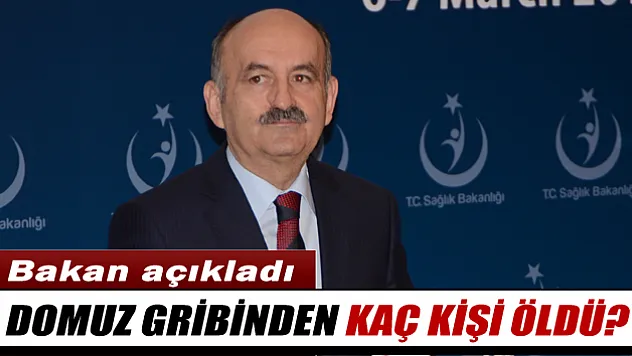 30 kişi domuz gribinden hayatını kaybetti