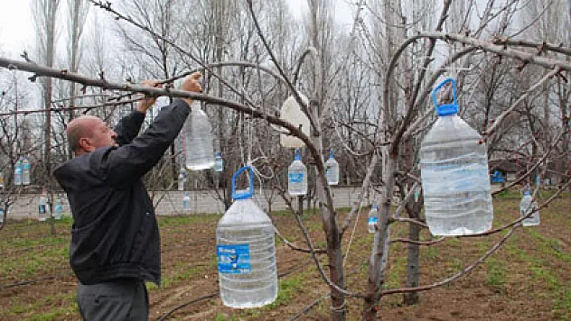 Ağaç dallarına pet şişe asan çiftçinin ilginç yöntemi