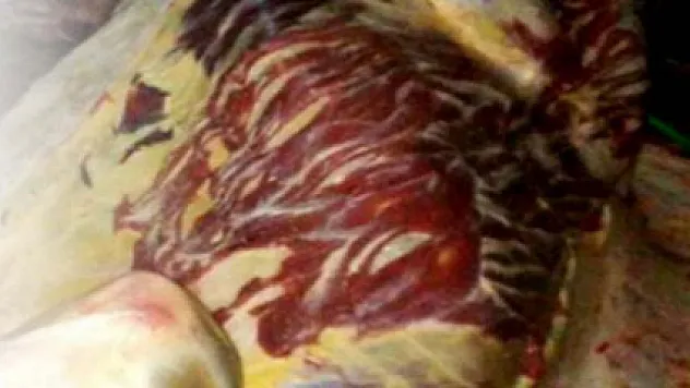 At etinden sonra bu kez eşek eti!