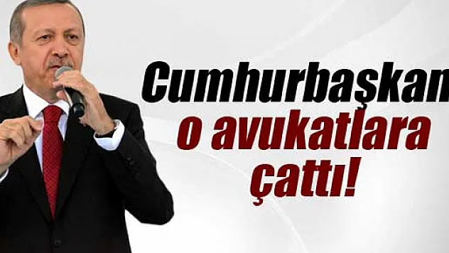 Cumhurbaşkanı Erdoğan o avukatlara çattı!