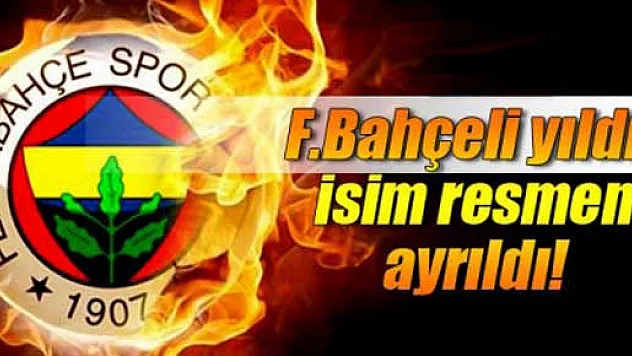 Dirk Kuyt, Fenerbahçe'den resmen ayrıldı!