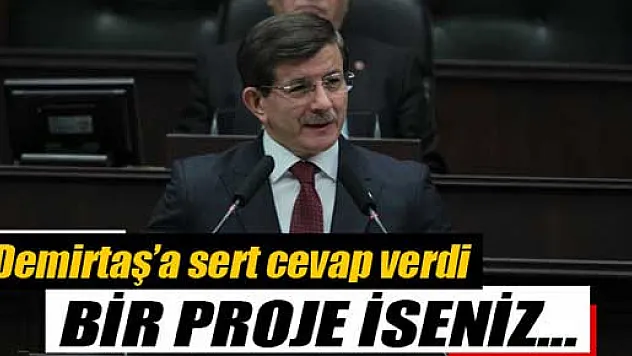 Davutoğlu Demirtaş'a cevap verdi: Bir proje iseniz...