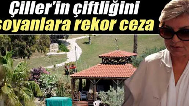 Tansu Çiller'in çiftliğini soyanlara ceza yağdı