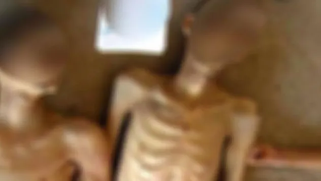 Binlerce Suriyelinin cenazesi boş arazilere bırakılıyor