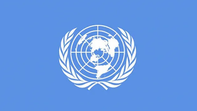 BM'den Husilere karşı silah ambargosu