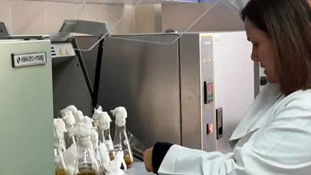 ABD'den sonra Türkiye'de! İşte kanserde umut veren yeni madde